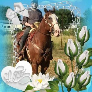 Meet your Posher, Pablo